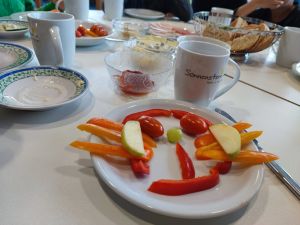 20240917 Sms GSE Probe_1.jpeg