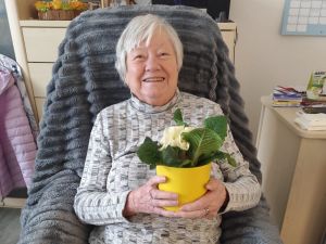 Sonnenstern Ostern AHE IMG-20260406-WA0001.jpg